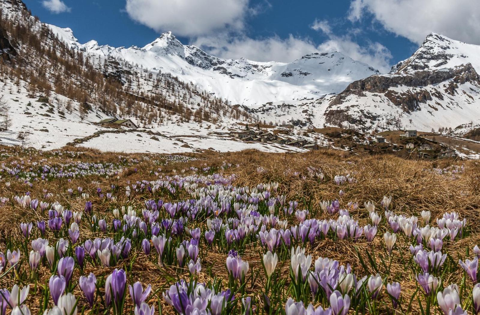 San Giuan, Ad Un Passo Dal Centro Apartment Chiavenna Luaran gambar
